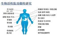 老年人补肽有什么好处,老年人吃肽食用量多少?