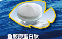 海洋鱼胶原蛋白与鱼胶原蛋白肽的特点与作用