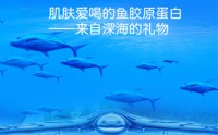 什么是鱼胶原蛋白？鱼胶原蛋白肽都有哪些的功能作用？