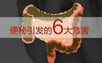 便秘对身体有哪些危害？小分子肽对便秘怎么样？