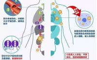 专家质疑喝胶原蛋白没有作用，结果亮呆了.........