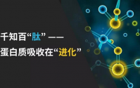 小分子肽不是什么非神丹妙药，请大家一定要理性看待