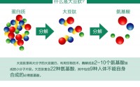 提高肌体免疫力为什么选大豆蛋白肽？大豆蛋白肽的作用功效有哪些？