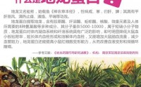 地龙蛋白营养价值,地龙蛋白能溶斑块吗?