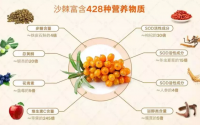 沙棘虫草片效果怎么样，哪里有销售？