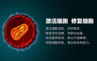 活性肽的种类及其对人体健康的影响