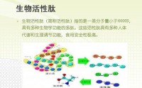 肽的抗衰老作用，小分子肽让机体健康有活力！