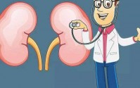 肾功能不好怎么办？干细胞疗法与修复肾脏疾病有作用！
