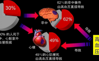 小分子肽对高血压的作用，喝肽能降血压吗