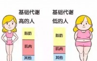 新陈代谢不好容易长胖！吃小分子活性肽能调节新陈代谢吗？