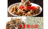 纳豆地龙蛋白肽对改善脑供学不足的营养干预研究