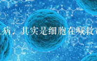一生宝牡蛎肽含片不是药,为什么对很多疾病有帮助