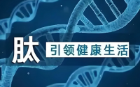补充肽的作用,为什么要补肽?