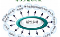 活性多糖真有那么神奇吗,活性多糖的主要功效是什么？