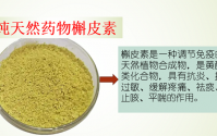 槐米槲皮素对慢性炎症的作用原理及应用效果