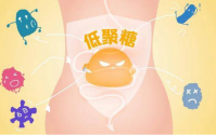 低聚果糖通便效果好吗，低聚果糖能不能根除便秘