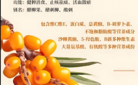 沙棘多糖能调节血管弹性吗,效果怎么样？