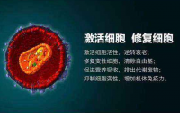 什么是生物活性肽有什么功能与作用？