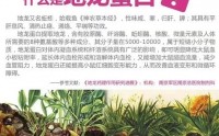 纳豆地龙蛋白肽调节血压效果如何,纳豆地龙蛋白肽与降血压的作用.
