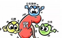 干细胞与治疗肾功损伤肾功能衰竭应用研究