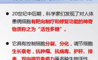 活性多糖能提高免疫力吗,活性多糖与免疫调节的作用!