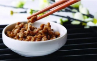 纳豆地龙蛋白复合片主要成分介绍