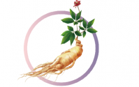 秋季进补——来点人参复合肽