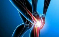 小分子胶原蛋白肽对骨质疏松及腰椎间盘突出的营养修复作用