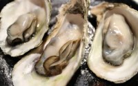 牡蛎肽效果怎么样?免费体验一试便知!