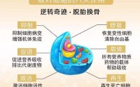 为什么肽能抗衰老？胶原蛋白肽对皮肤的改善作用！
