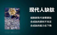 肽对人体，具有“小、强、快、高、全”的特点