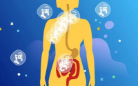 小分子肽与促进钙的吸收