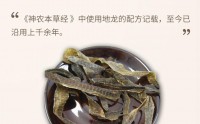 地龙蛋白治什么病？地龙蛋白能溶解血栓降血压吗？中风吃地龙蛋白有效果吗？