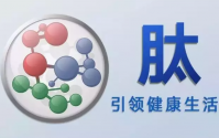 详细解小分子肽、氨基酸和蛋白质粉