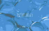 波士度教你如何留住胶原蛋白
