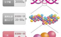 口服胶原蛋白肽安全吗？吃胶原蛋白肽有哪些禁忌？