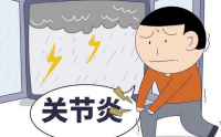 菊苣与减少关节炎疼痛