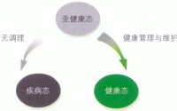 亚健康怎么调理？北方基因小分子肽亚健康的调节剂！