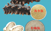 海参牡蛎肽对人身体有什么好处,海参牡蛎肽能补肝肾吗？