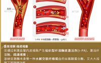纳豆激酶真的能溶解血栓，纳豆激酶能长期服用吗？