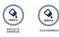 骨髓干细细疗法与糖尿病，干细胞是怎么干预糖尿病的