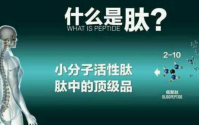 小分子肽有什么生物学特点，哪些人需要补肽