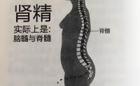 乾坤髓疗对白血病效果好吗？是不是骗人的？