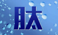 肽与维生素、矿物质能一起用吗？