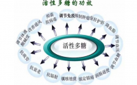 活性多糖是什么？活性多糖功能与作用介绍