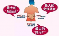 间充质干细胞对消化系统的有效调节，间充质干细胞与肠炎