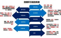 伊生肽可以快速改善微循环吗？伊生肽的作用原理！