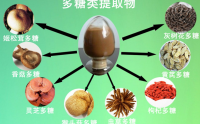 复合多糖是什么味道的？糖尿病人可以吃多糖吗？