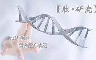 小分子肽公认的十大生理功能，世界科学家对肽的评价