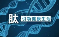 哪些人需要补充肽?娇倍源大豆肽粉适合什么人吃?娇倍源大豆肽粉多少钱一盒？